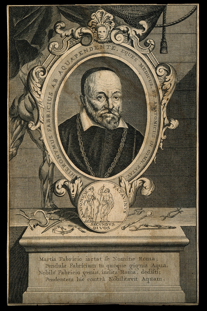 Student: Girolamo Fabrizio