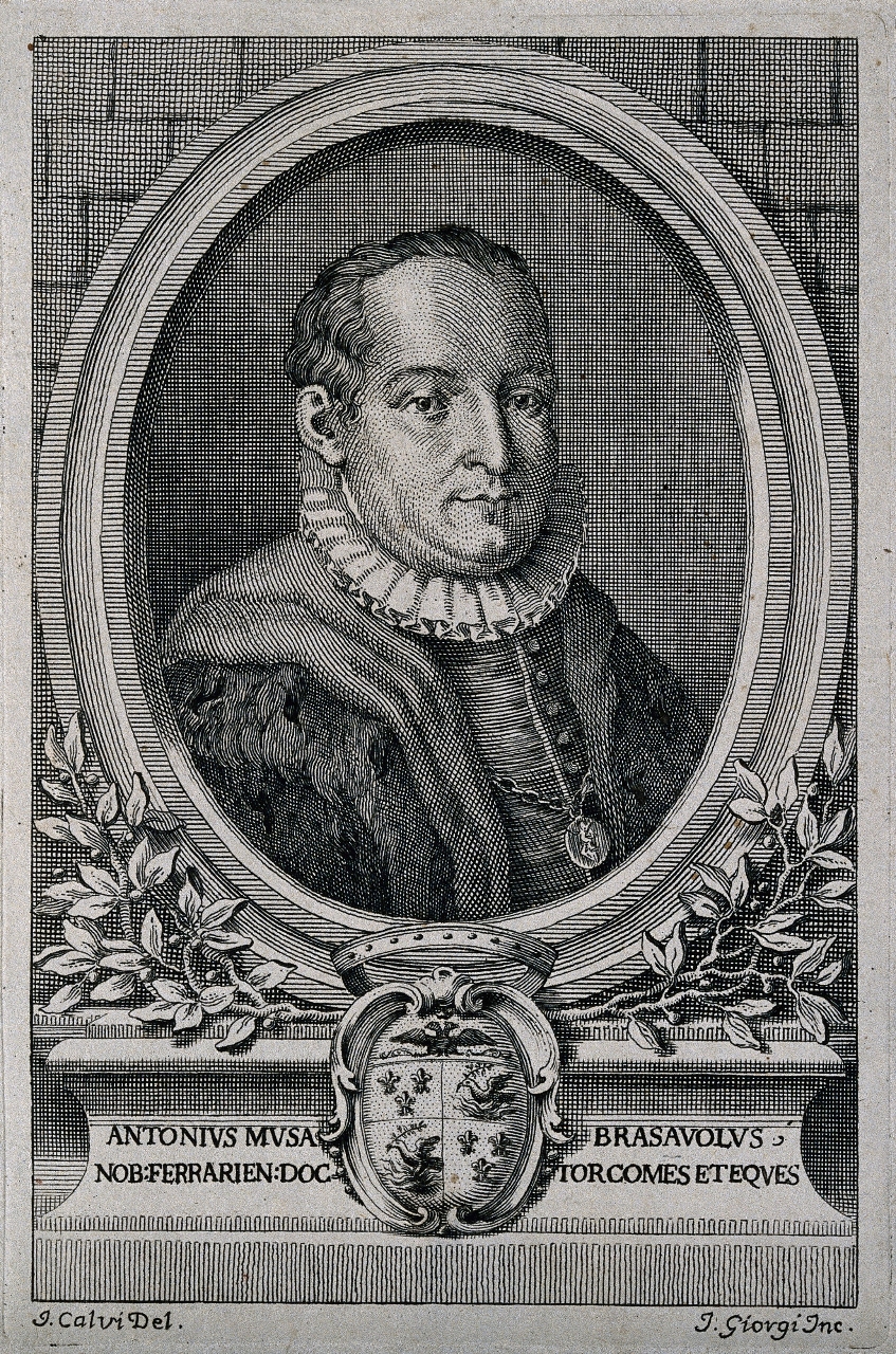 teacher: Antonio Musa Brassavola