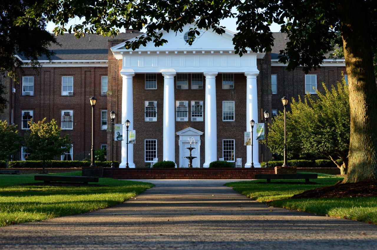 Gallery of Sarah Dessen