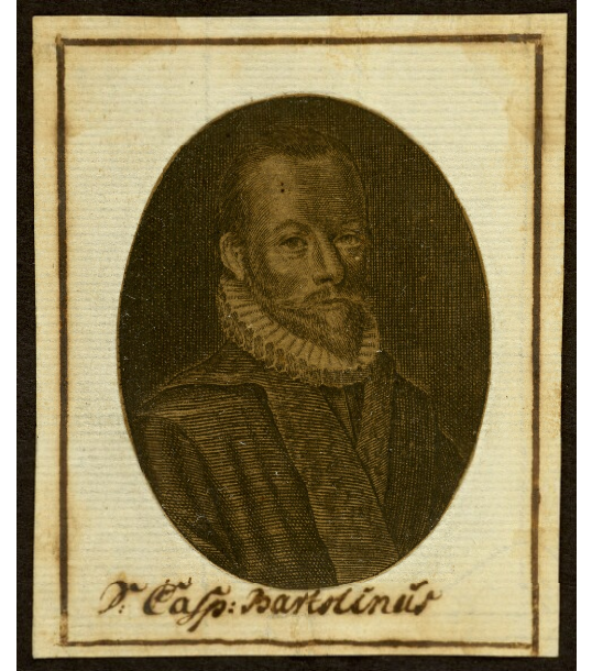 Gallery of Caspar Bartholin