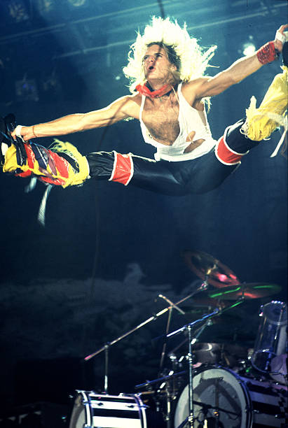 Gallery of David Roth