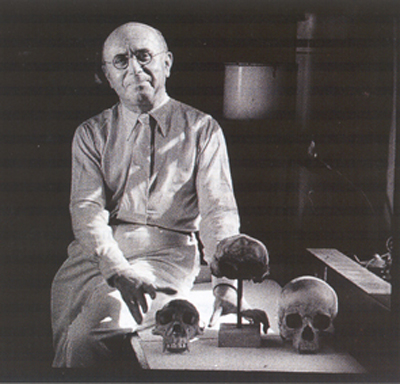 Gallery of Franz Weidenreich