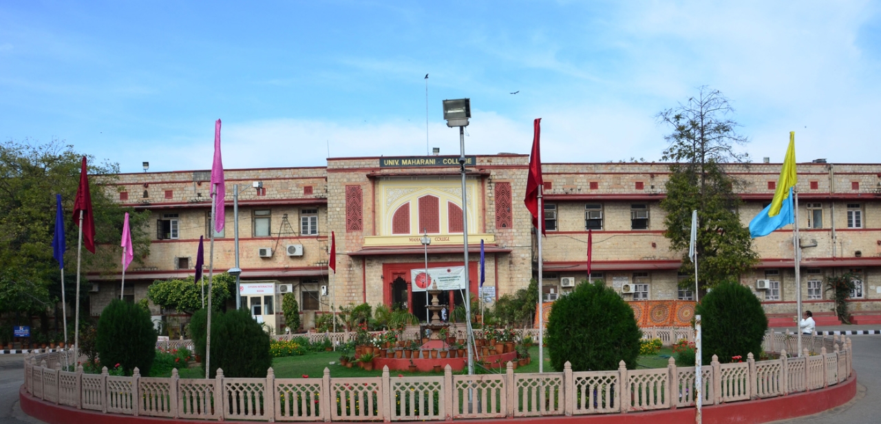 Gallery of Kamla Bhasin