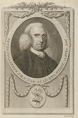Friend: Peter Collinson