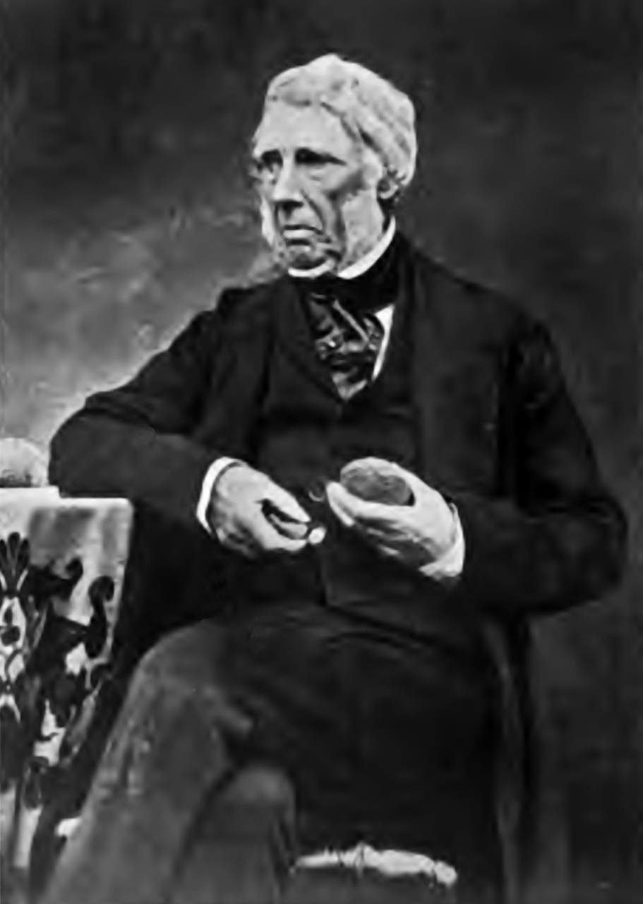 Gallery of John Fleming