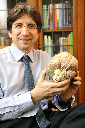 Gallery of Dan Stein
