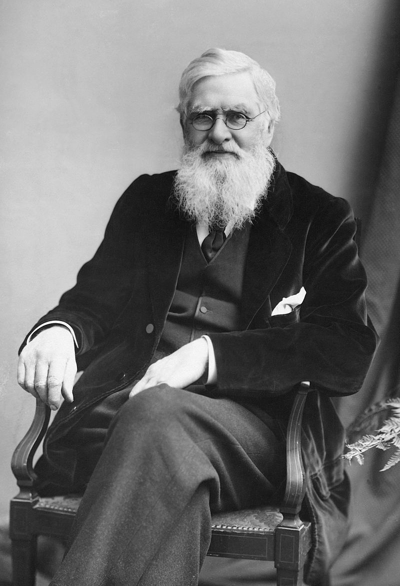 Friend: Alfred Russel Wallace