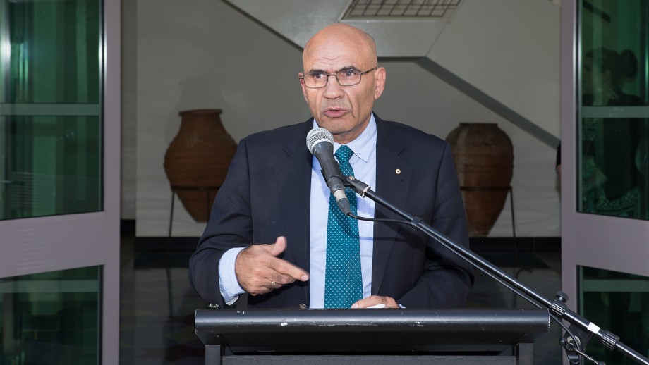 Gallery of Amin Saikal