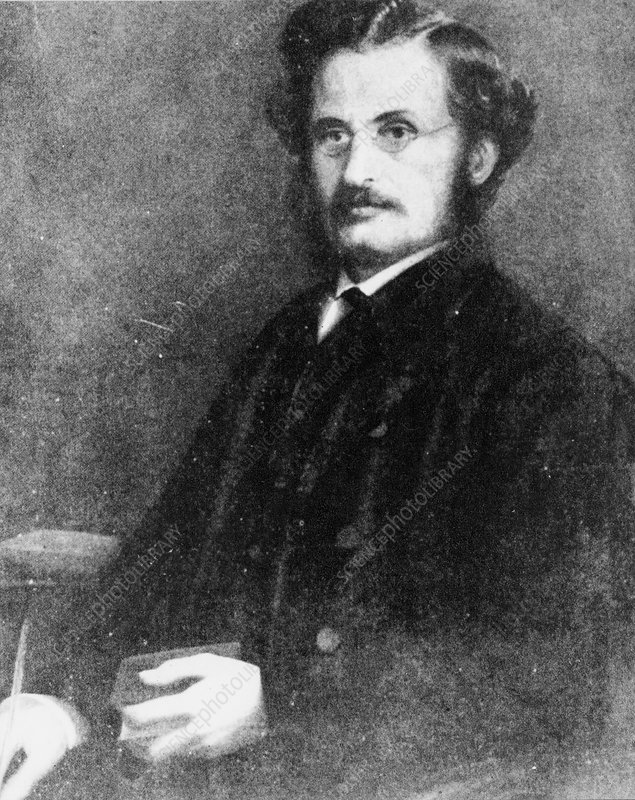 Gallery of Henry Bates