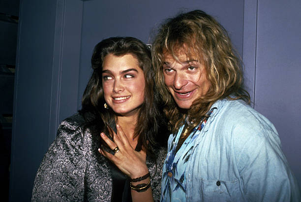 Gallery of David Roth