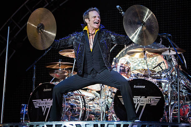 Gallery of David Roth