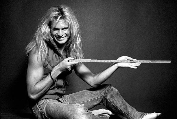 Gallery of David Roth