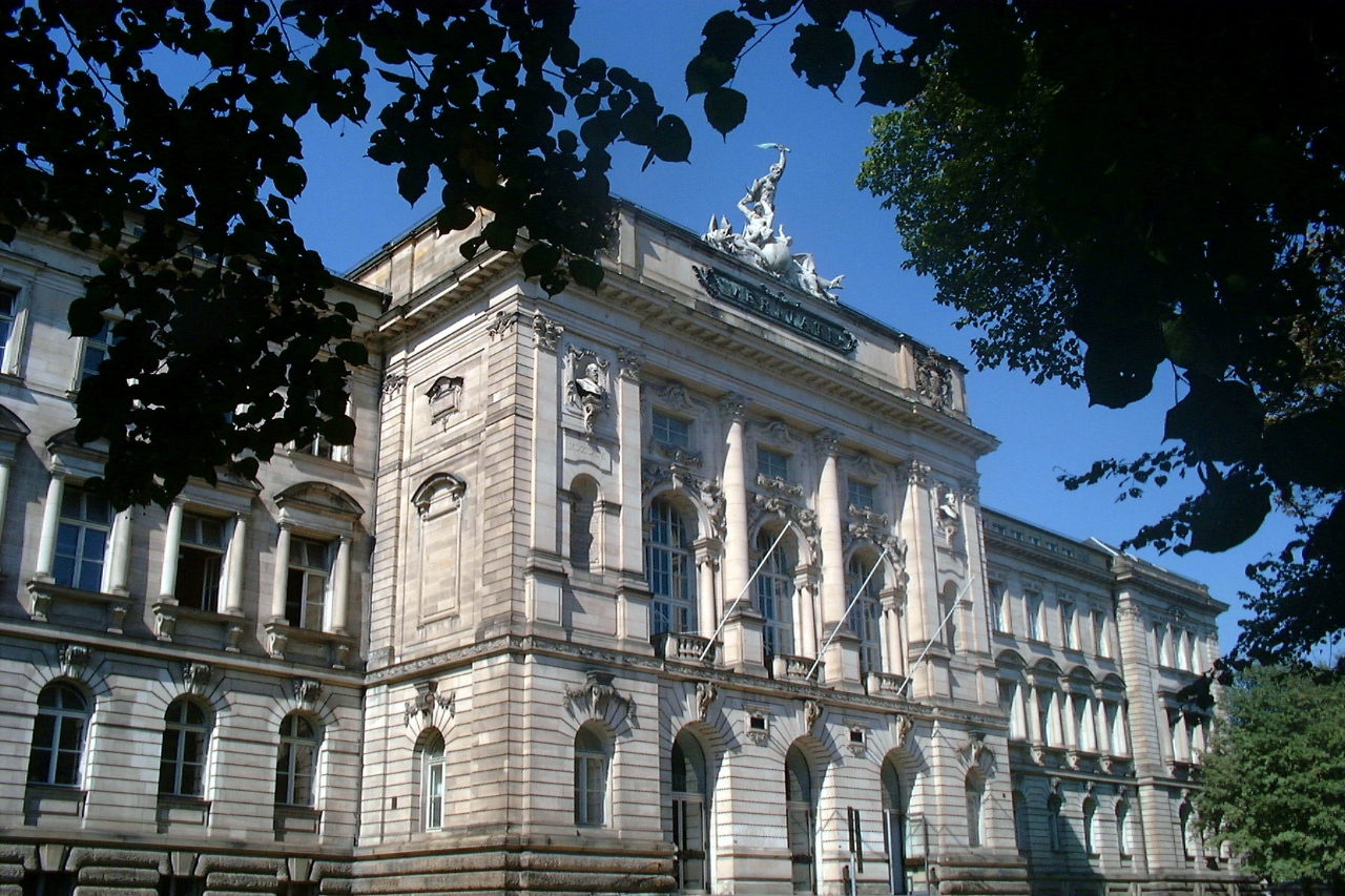 Gallery of Ferdinand Broili