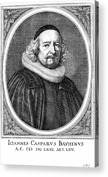 Son: Jean Gaspard Bauhin 1606-1659 