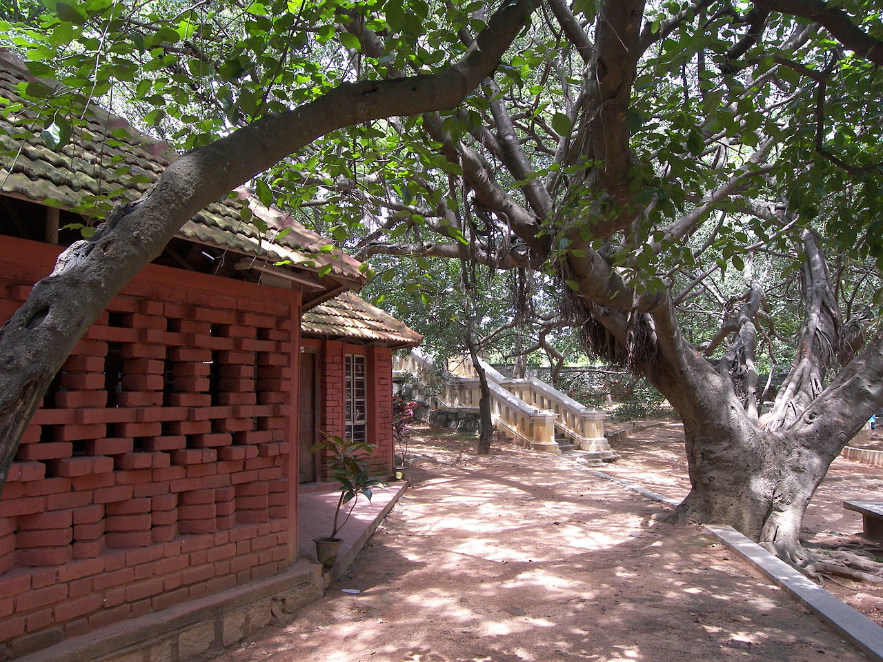 Gallery of Ranjani Shettar