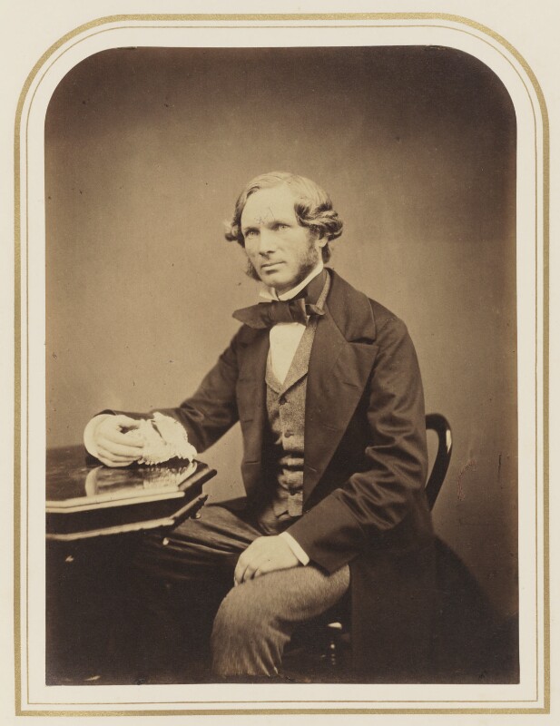 Gallery of John Jeffreys