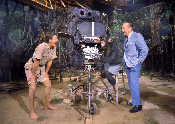 Gallery of Dick Van Dyke