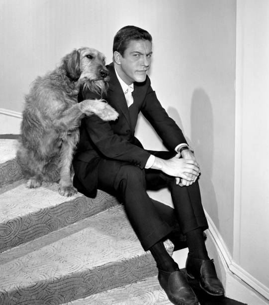 Gallery of Dick Van Dyke