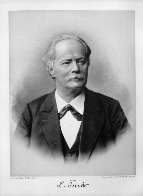 Gallery of Lazarus Fuchs
