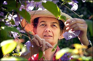 Nicola Ferguson