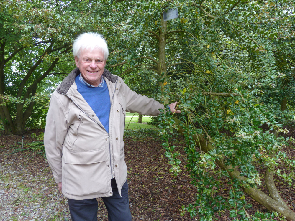 Gallery of Roy Lancaster