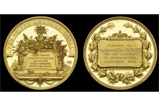 Gold Veitch Memorial Medal