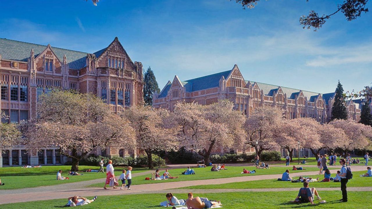 Education period of Kyle MacLachlan in University of Washington
