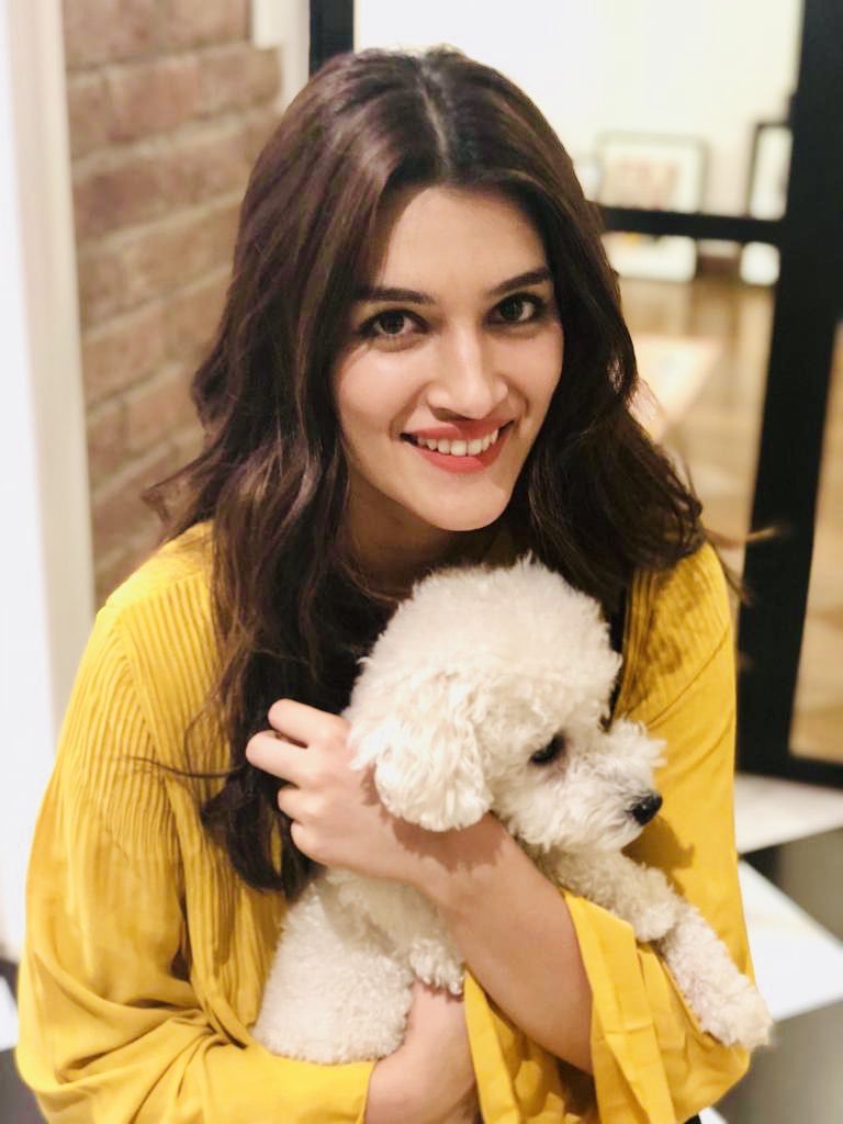 Gallery of Kriti Sanon