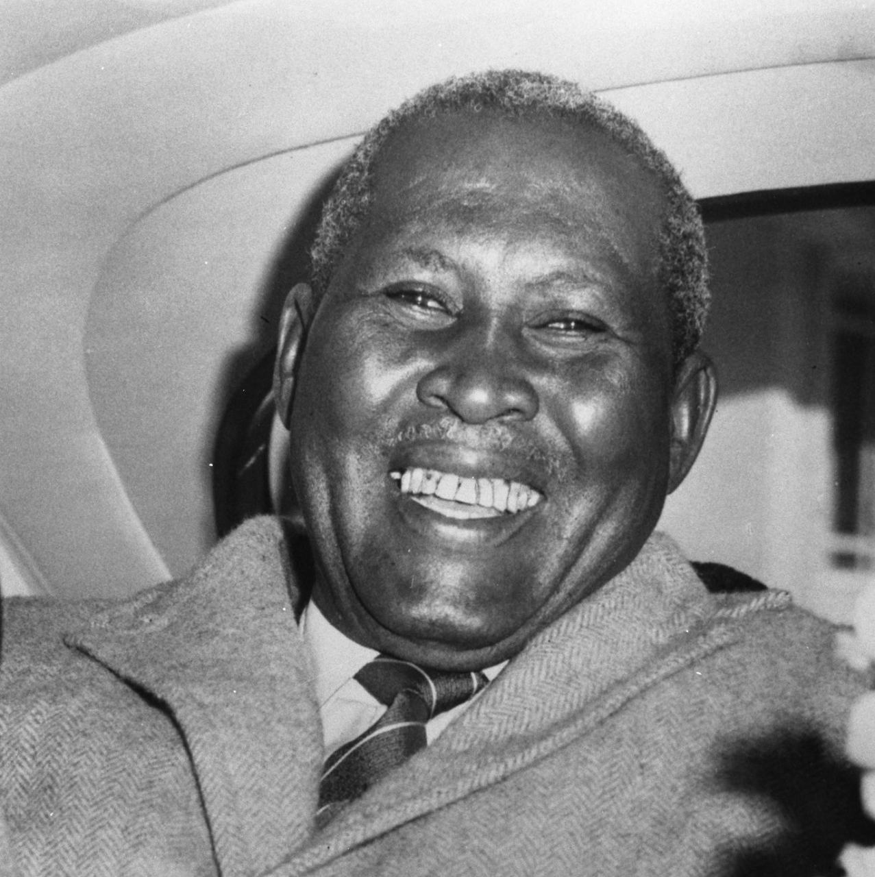 colleague: Albert Lutuli