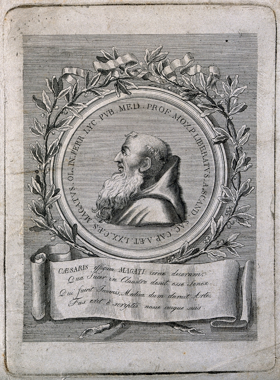 Gallery of Cesare Magati