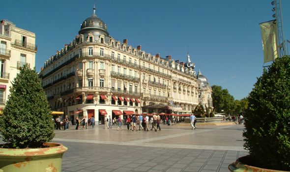 Gallery of Antoine de Jussieu