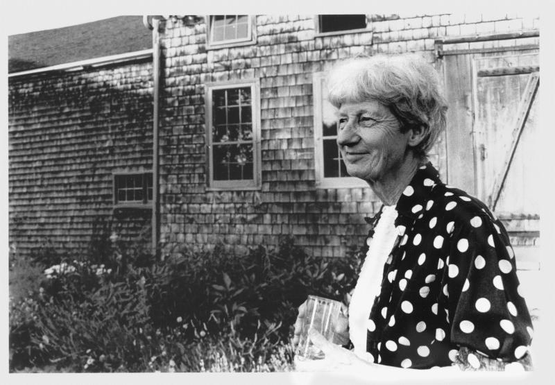 Gallery of Lois Dodd