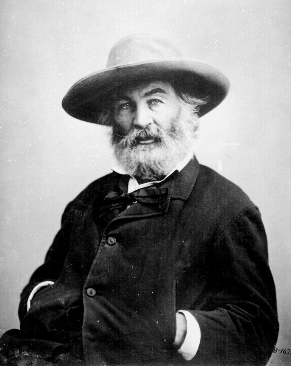 Acquaintance: Walt Whitman 