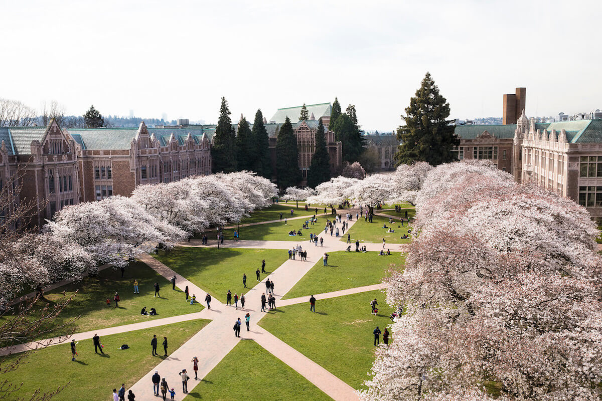 Education period of Matt Briggs in University of Washington
