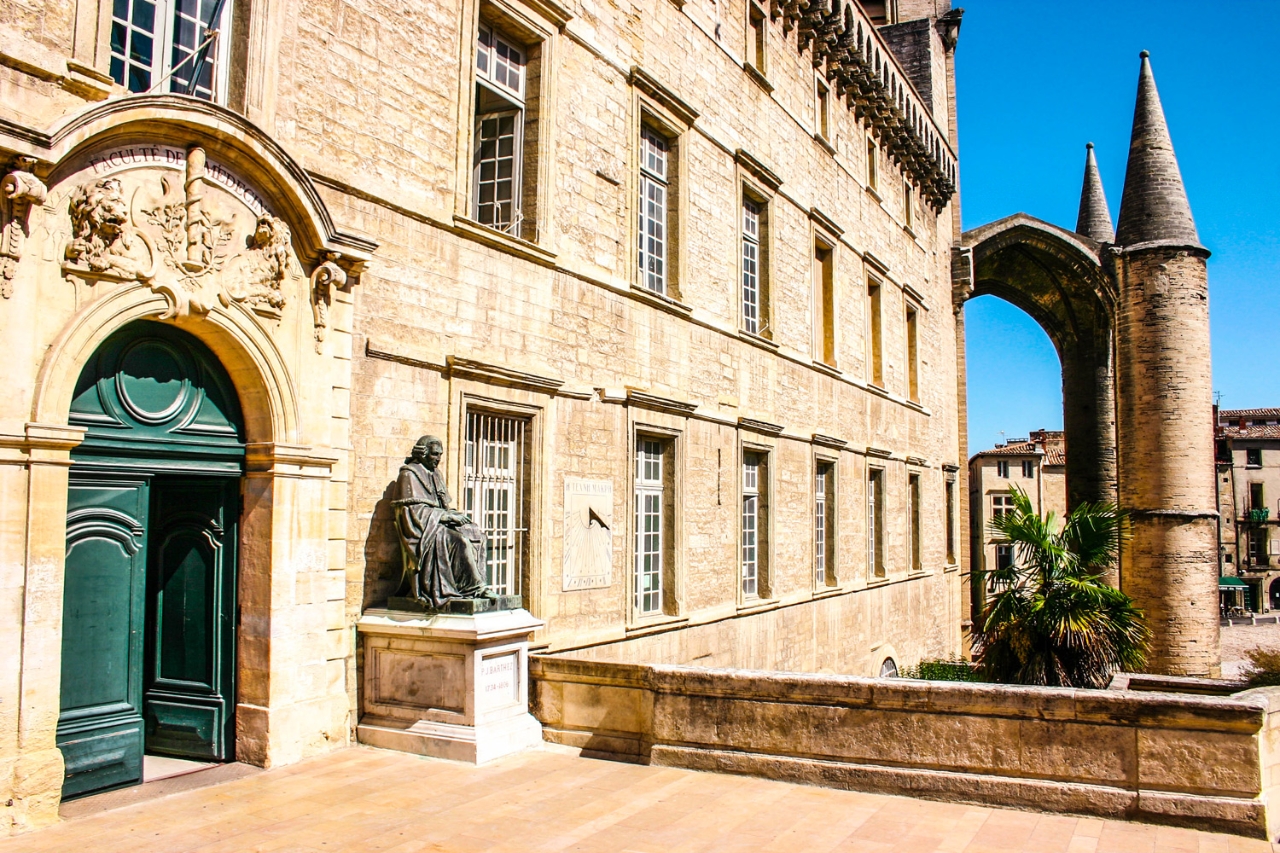 Gallery of Pierre Magnol