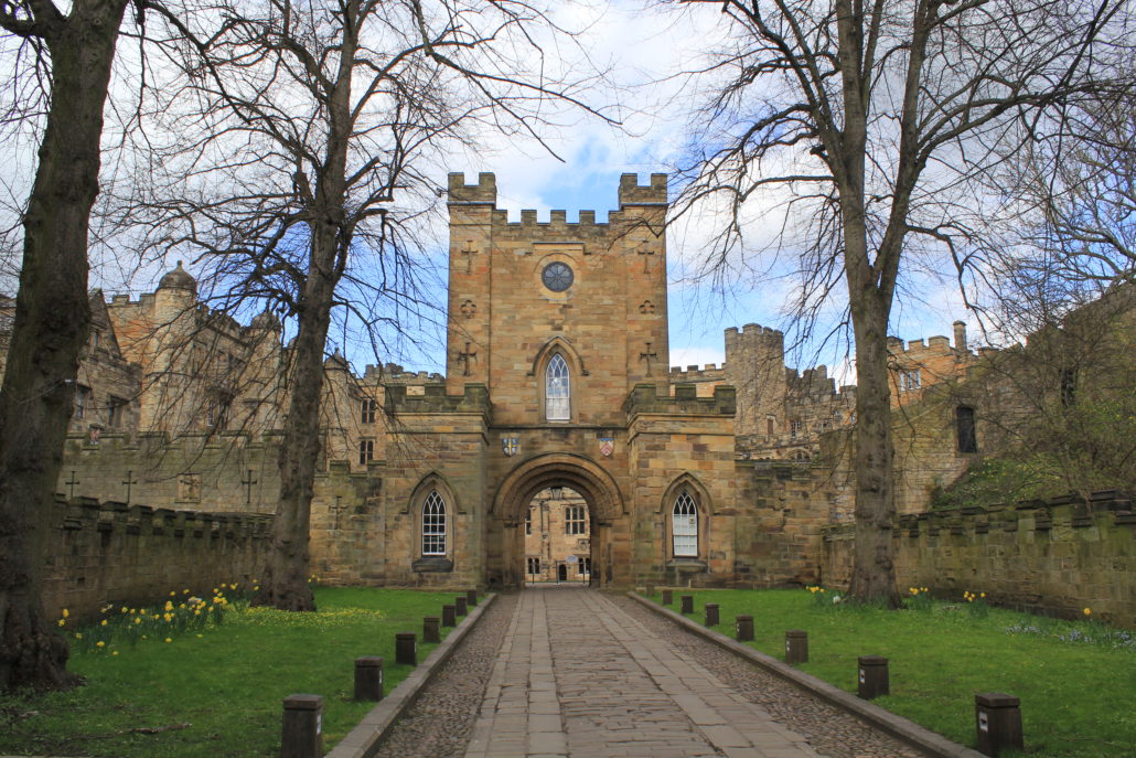 Education period of Matthew Jenkinson in Durham University