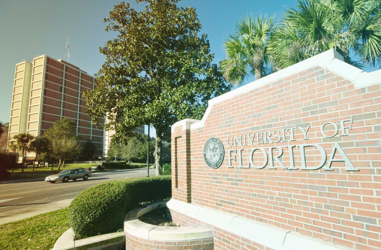 Education period of Robert Polidori in University of Florida