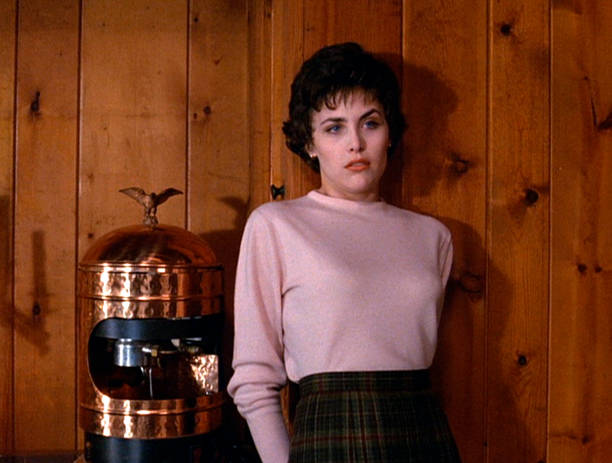 Gallery of Sherilyn Fenn