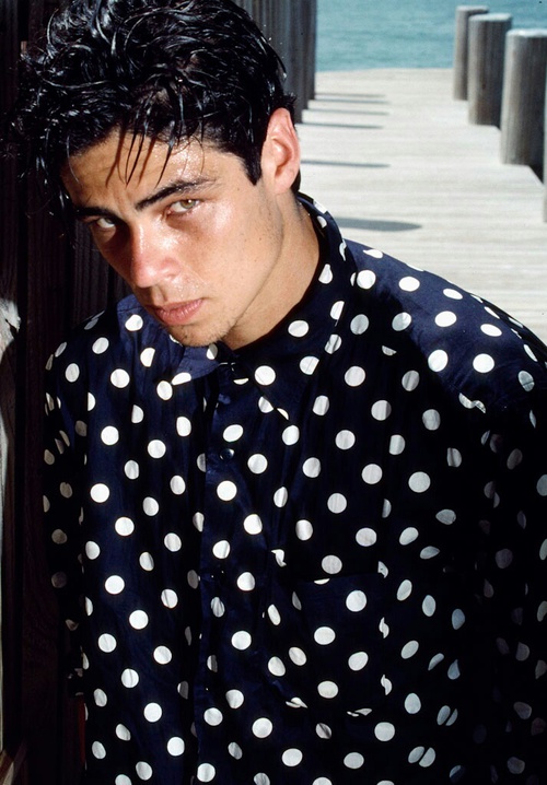 Gallery of Benicio del Toro