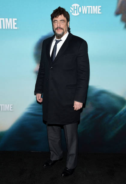 Gallery of Benicio del Toro