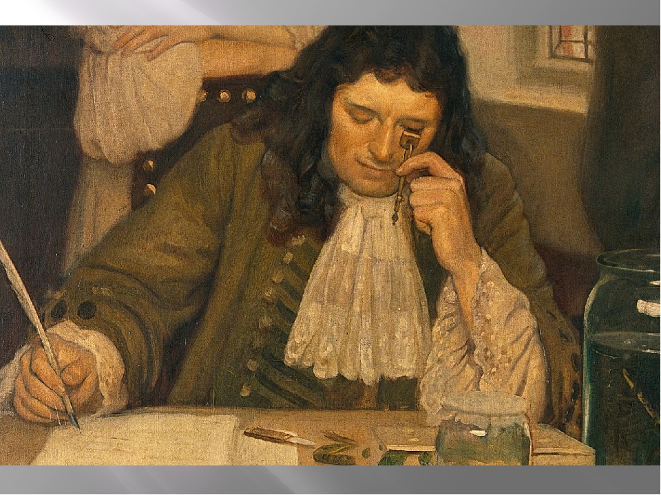 Gallery of Antonie Leeuwenhoek
