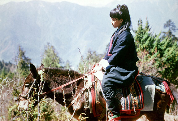 Gallery of Aung Kyi
