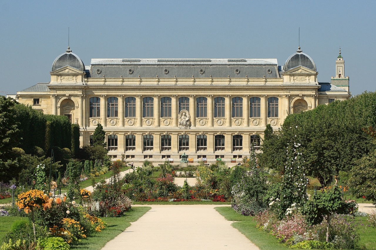 Gallery of Étienne Geoffroy Saint-Hilaire