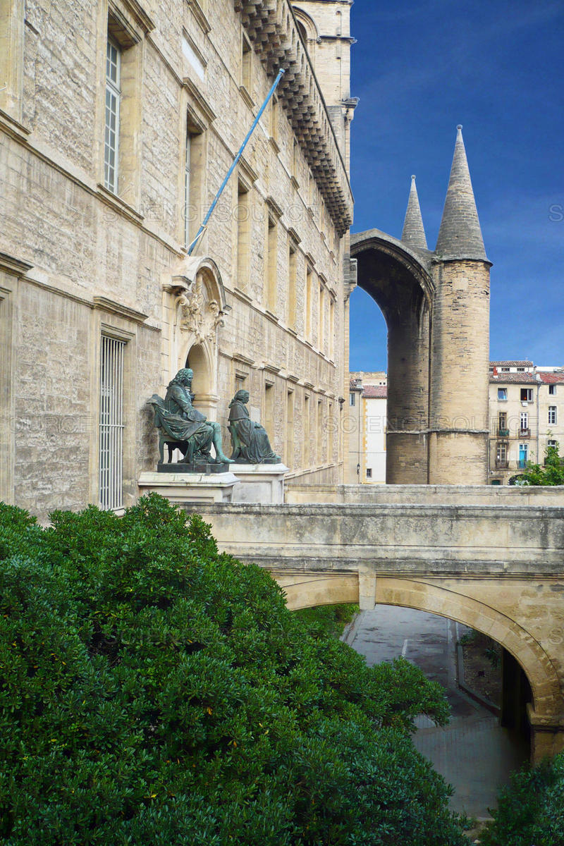 Gallery of Philibert Commerson