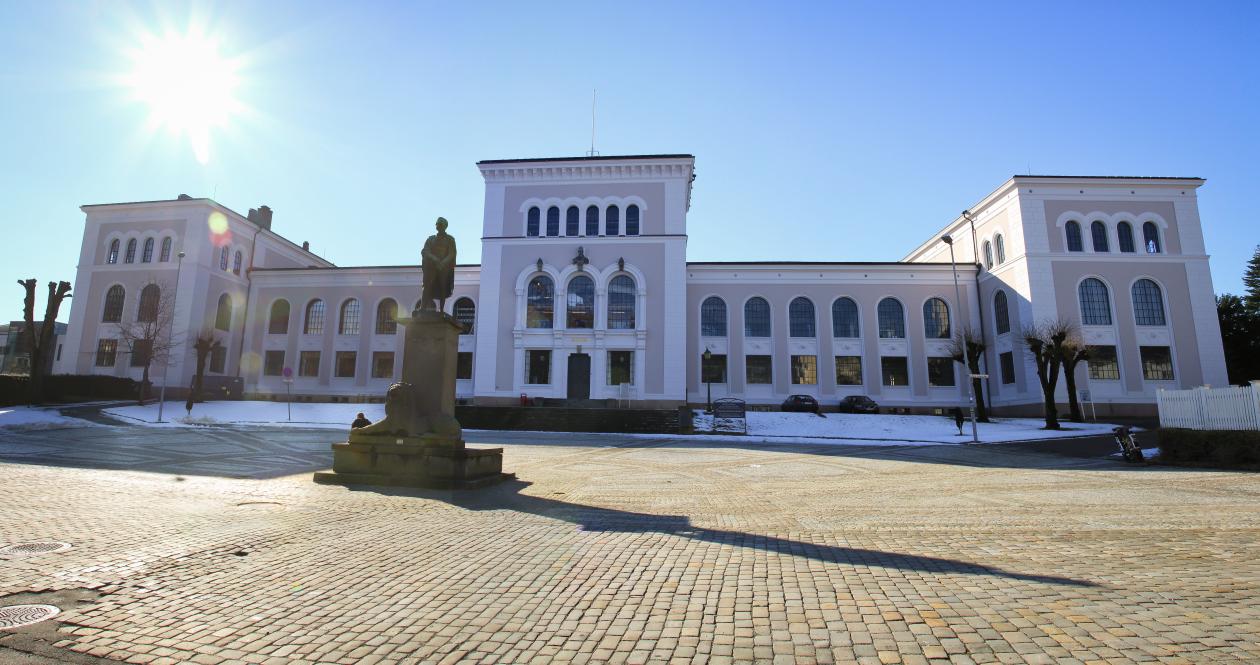 Gallery of Jan Holmevik
