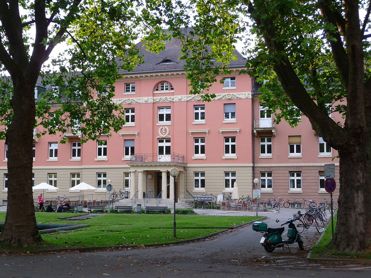 Education period of Johann B\u00FCtschli in Heidelberg University