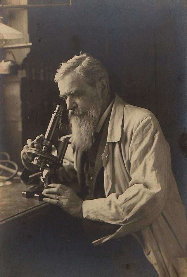 Johann Bütschli