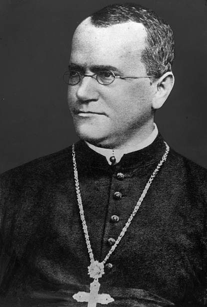 Gallery of Gregor Mendel