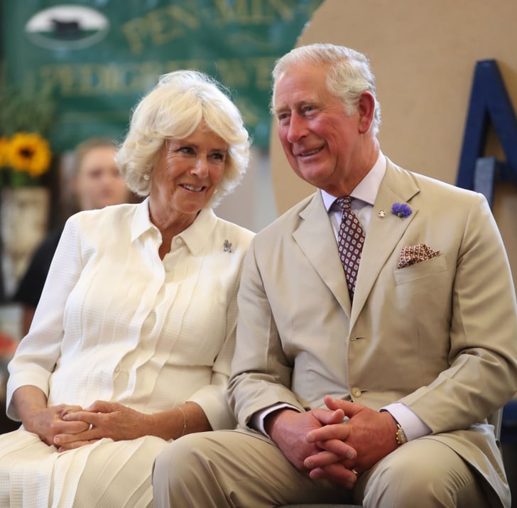 Gallery of Charles, Prince of Wales
