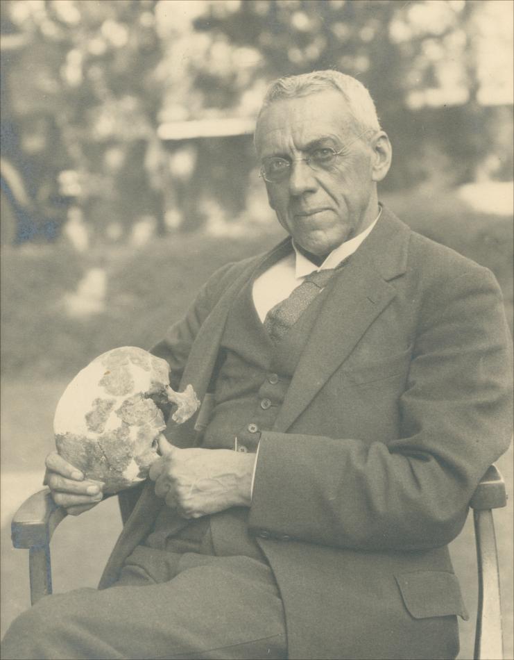 Gallery of Robert Broom